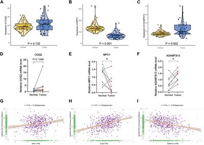 Exploring the relationship between lactate metabolism and immunological function in colorectal cancer through genes identification and analysis